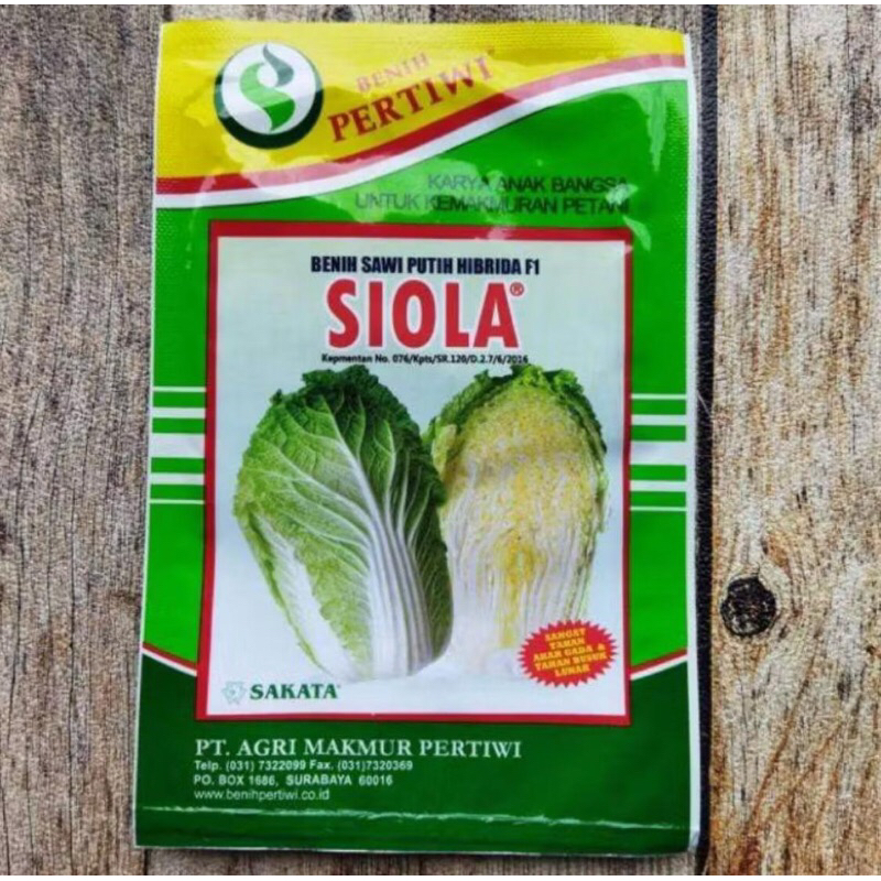 Benih sawi putih SIOLA F1 10 gram dari benih pertiwi sawi siola