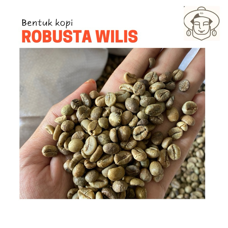 

KOPI BIJI MENTAH 1kg robusta wilis greenbean grade asalan non sortir size 5,5-7mm KA kurang lebih 13-14% gratis Kopi saschet sujakopi Harga termurah terlaris
