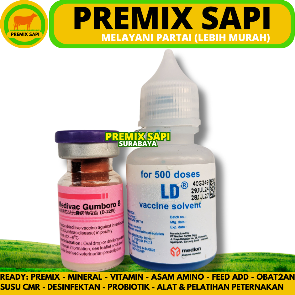 VAKSIN MEDIVAC GUMBORO B 500 DOSIS + PELARUT - Vaksin Gumboro IBD Aratan Ayam Burung Unggas