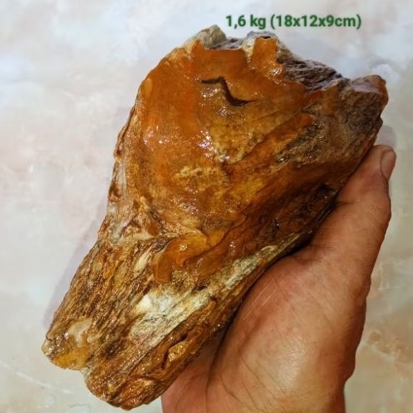 batu akik bahan fosil kayu aren (722)