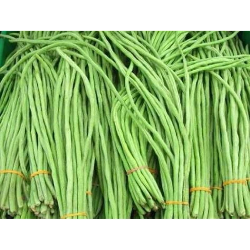 

Kacang Panjang 250 gr