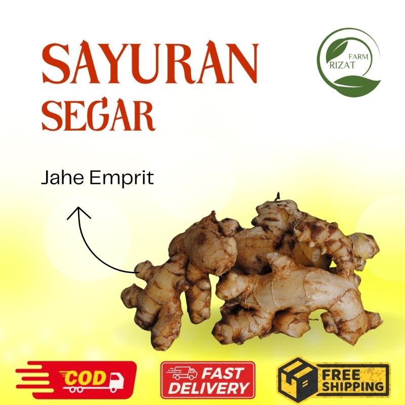 

[Dikirim Instant] Jahe Emprit Segar