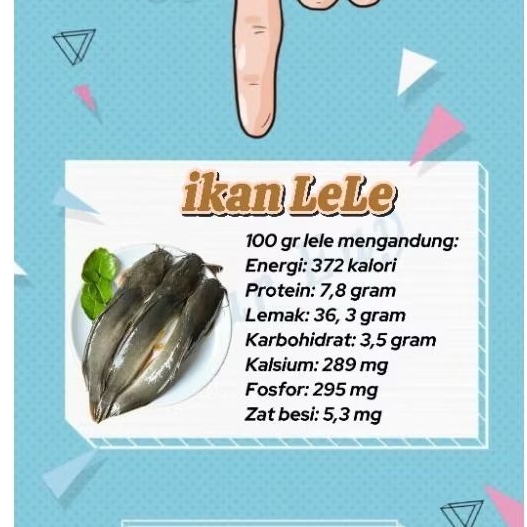 

Lele Segar Lele Mpasi Lele Fillet