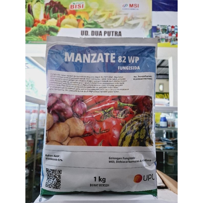 FUNGISIDA MANZATE 82WP