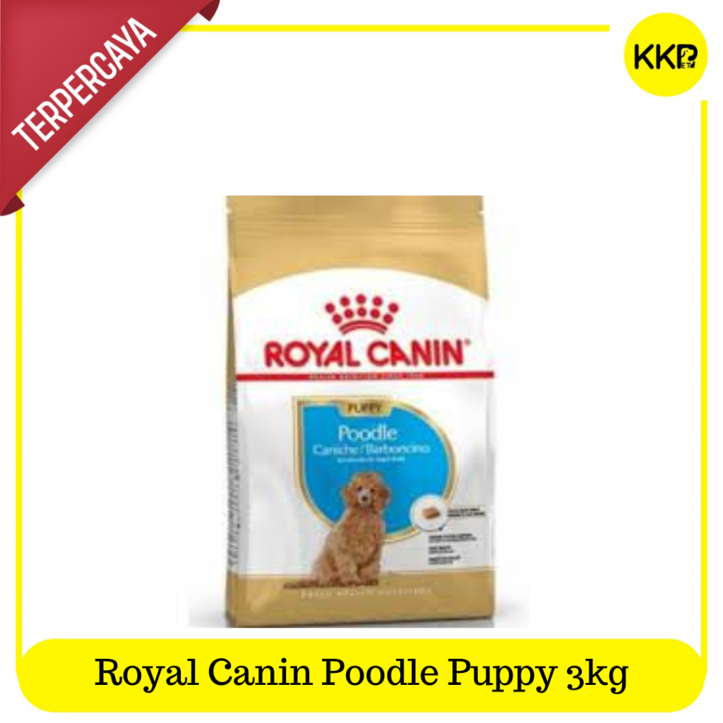 Royal Canin Poodle Puppy 3kg - Makanan Anak Anjing Poodle