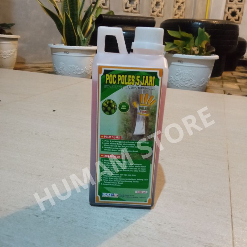 POC POLES 5 JARI VITAMIN GETAH KARET ASLI LAMPUNG