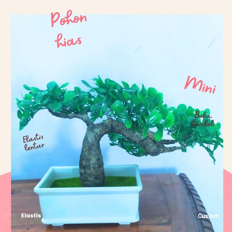 Bunga plastik, tanaman hias minimalis