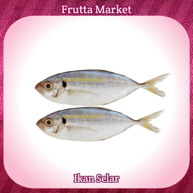 

Ikan Selar Basah Fresh