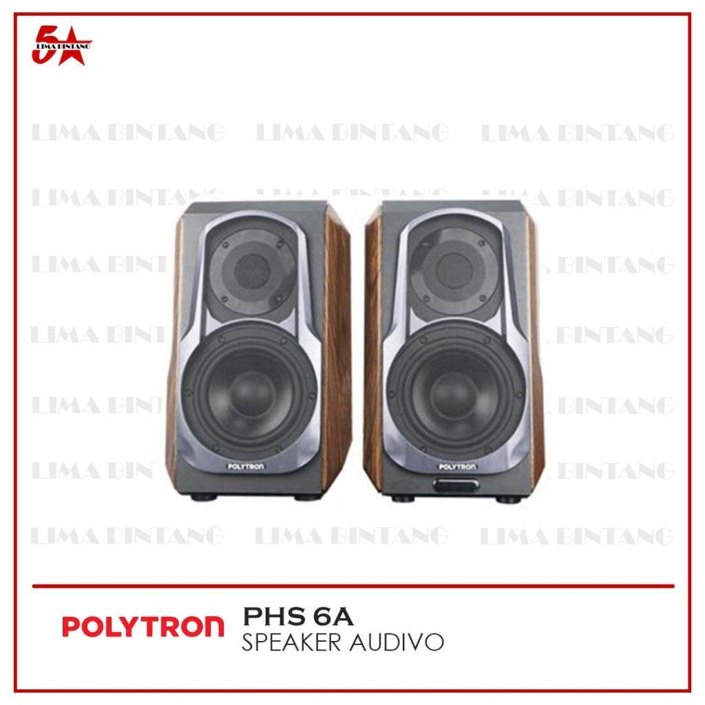 POLYTRON HiFi Speaker AUDIVO PHS 6A