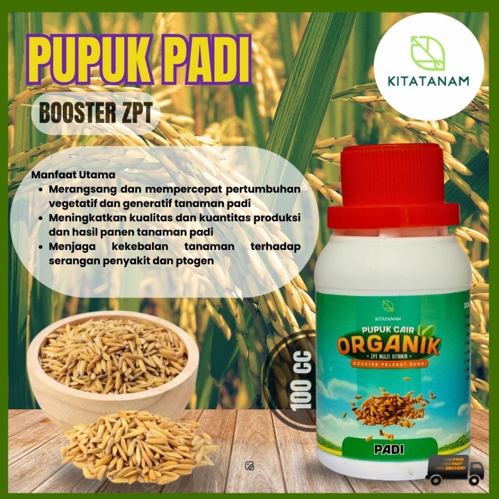 Pupuk Padi sawah terbaik, obat Padi biar buah lebat, Pupuk penyubur daun dan buah, Kitatanam