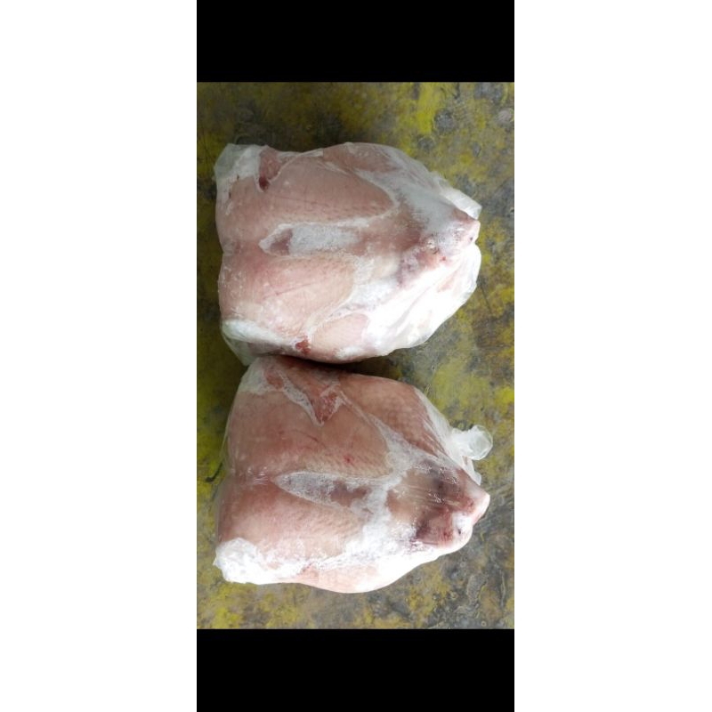 

ayam karkas broiler 800 gram murah banget