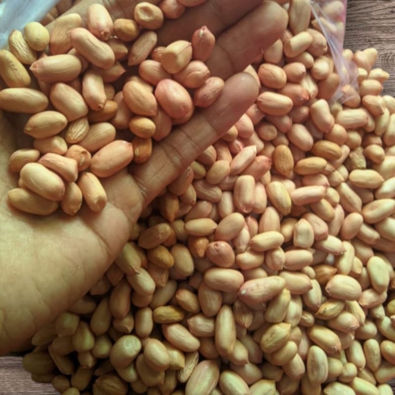 

Kacang Tanah Mentah Madura