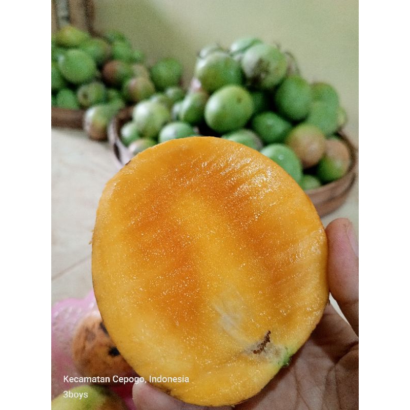 

Mangga apel pink/sengir/gincu/benges/manis enak 1kg
