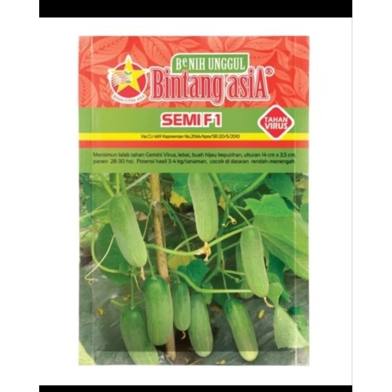 bibit timun SEMI F1 20gr bintang asia - timun lalap bintang asia