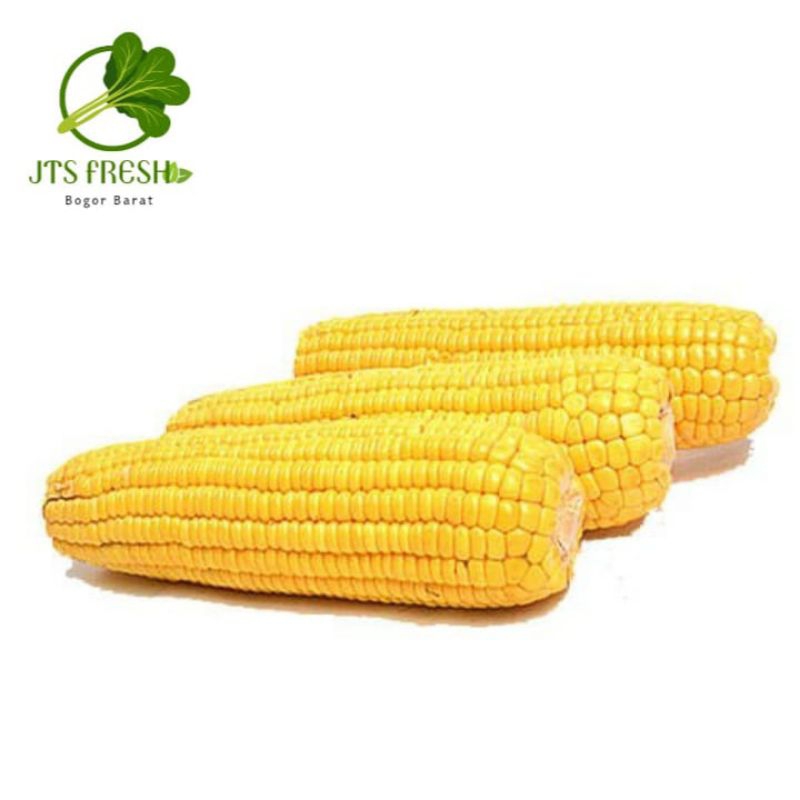 

Jagung Fresh 1 picis