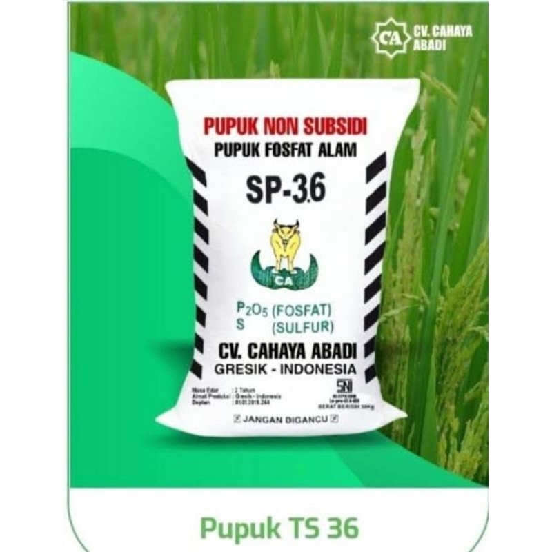 PUPUK TS SP 36 KEMASAN 1 KG
