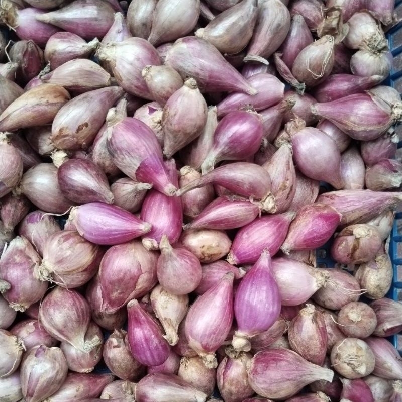 

Bawang merah ukuran kecil 500g