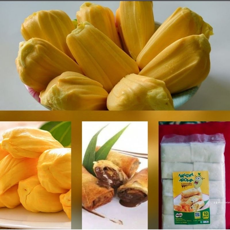 

Nangka Coklat Lumer - 10 Pcs, Sensasi Manis dan Lezat dalam Setiap Gigitan!