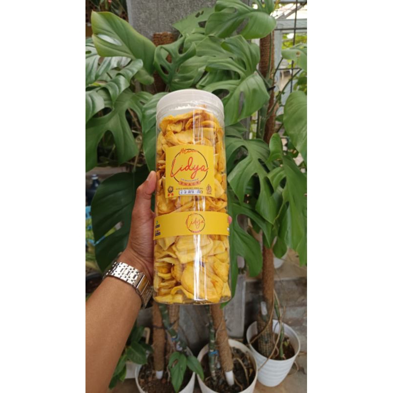 

CEMILAN KRIPIK BUAH 250GR TOPLES