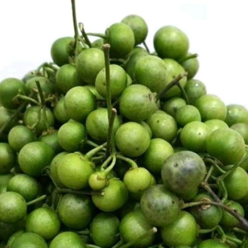 

leunca per bungkus