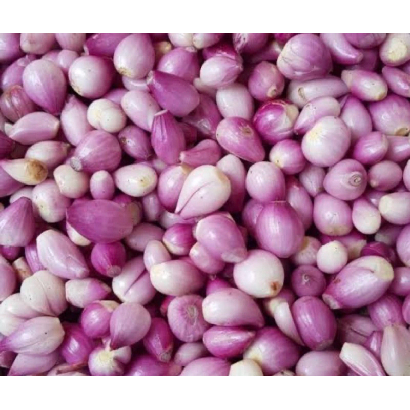 

BAWANG MERAH KUPAS FRESH