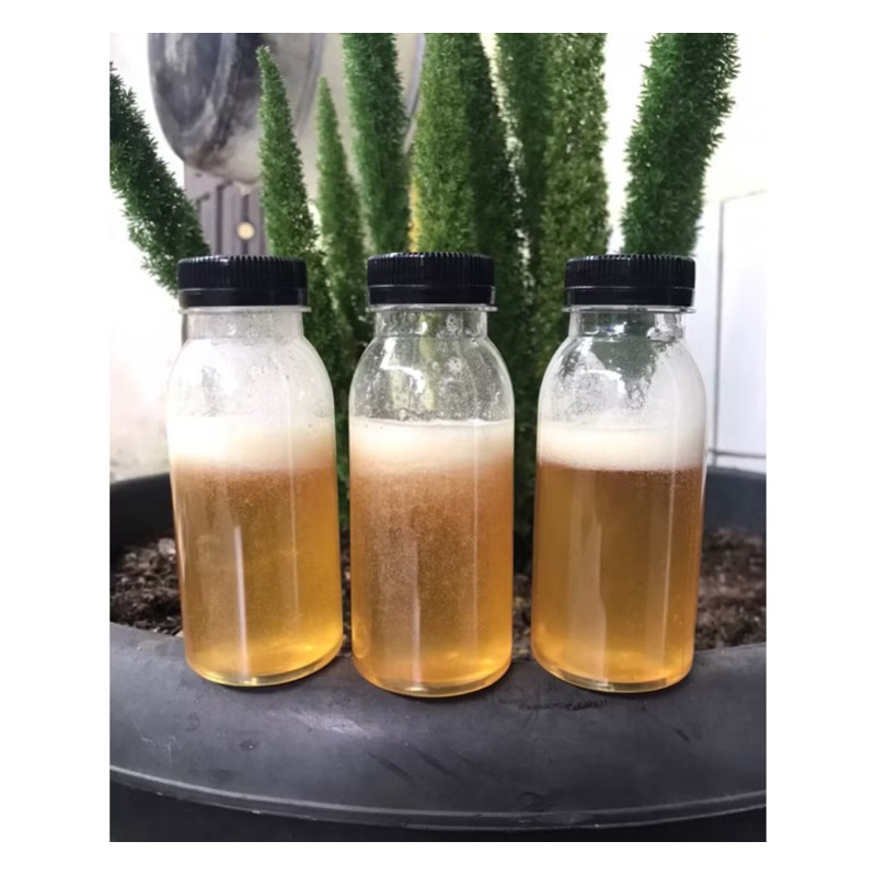 MADU KELULUT TRIGONA ITAMA DIJAMIN ORI 100% TANPA CAMPURAN