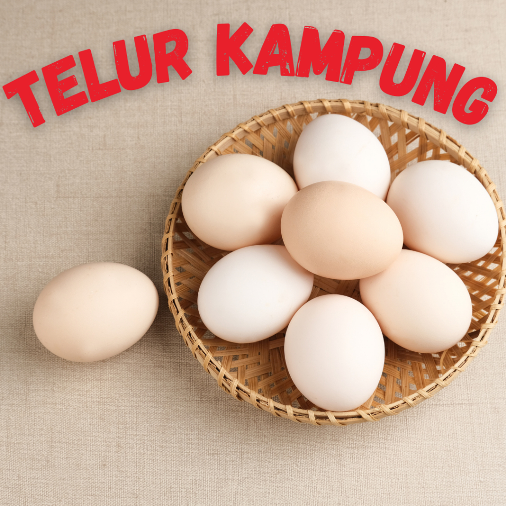 

Telur Ayam Kampung Kuning Fresh / per 10 butir / Telur Kampung