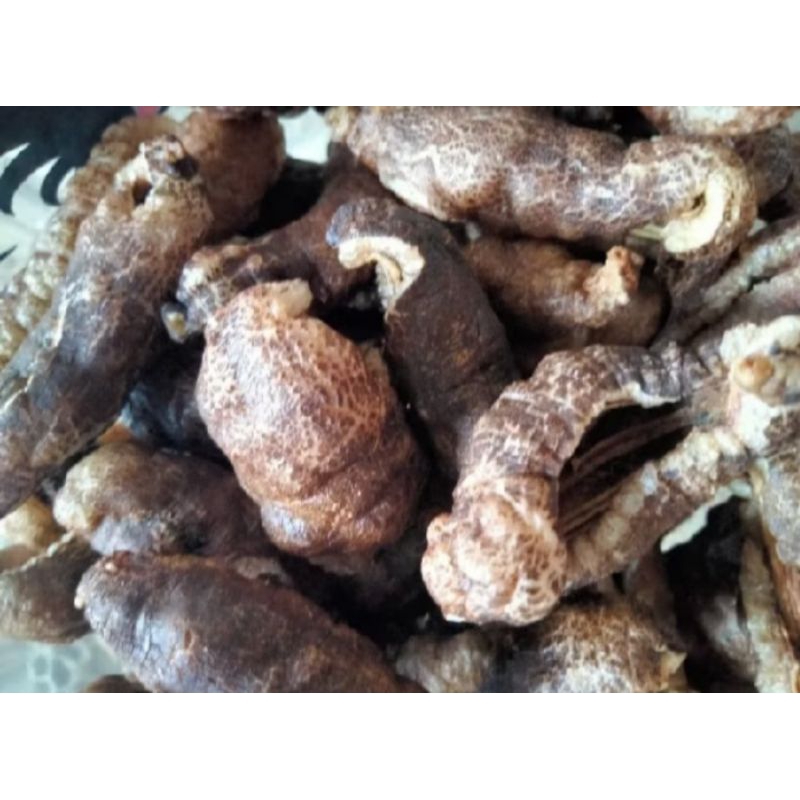 

kerupuk teripang/timun laut matang renyah 100 gram
