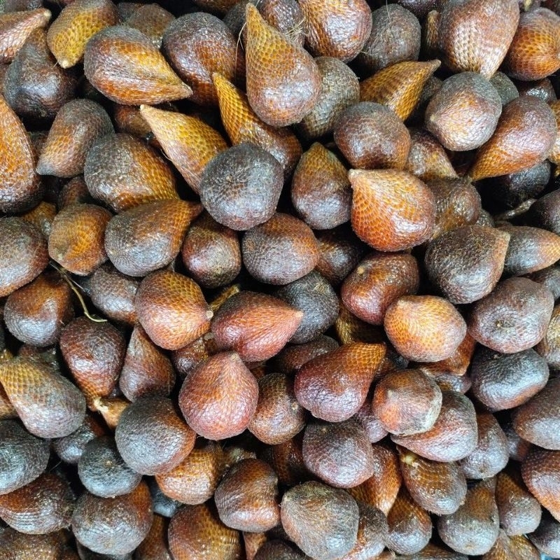 

Salak Pilihan