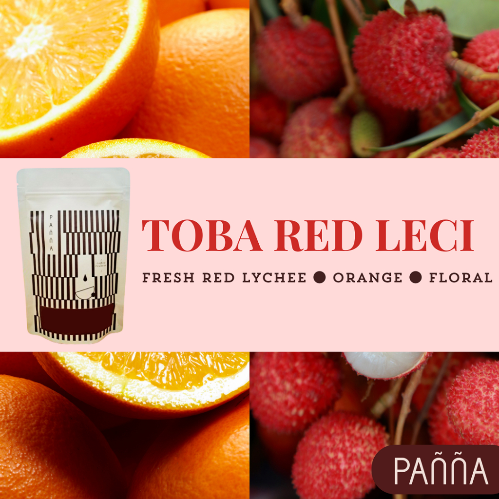 

ASLII biji kopi arabika specialty toba red leci 2025 terbaru