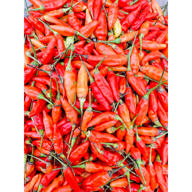 

CABE RAWIT ORI PREMIUM BERAT 1kg ready stock