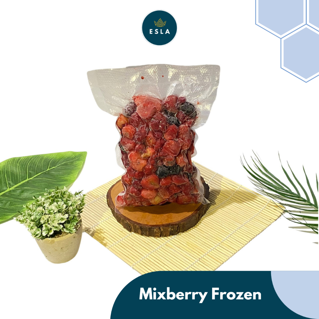 

MIXBERRY FROZEN 500 GR -Esla