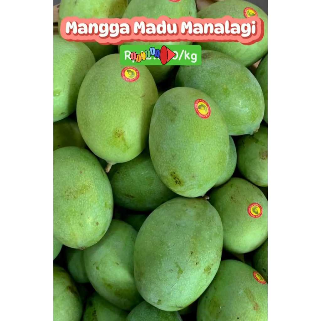 

Buah 1kg Mangga Manalagi, Ready Stock Sameday Delivery Jogja