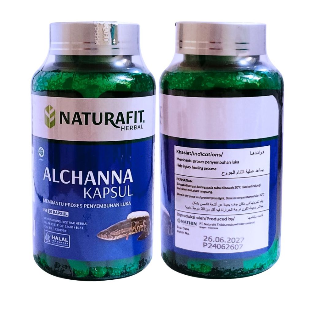 Kapsul Kutuk Ikan Gabus ALCHANNA - Supplement Herbal dari Ikan Gabus 30 KAPSUL