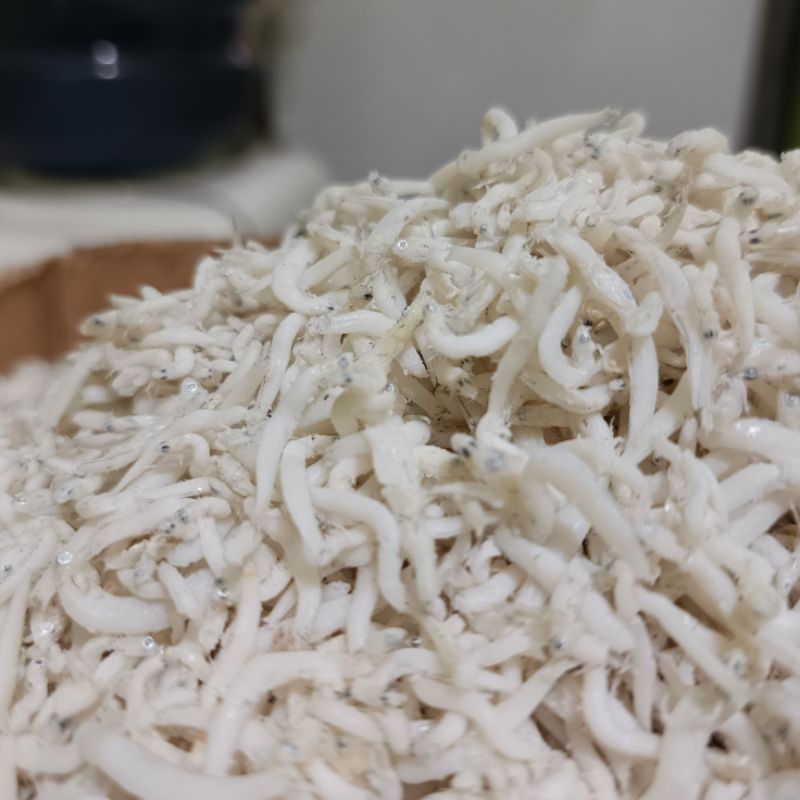 

Teri nasi medan | Teri putih | Teri nasi