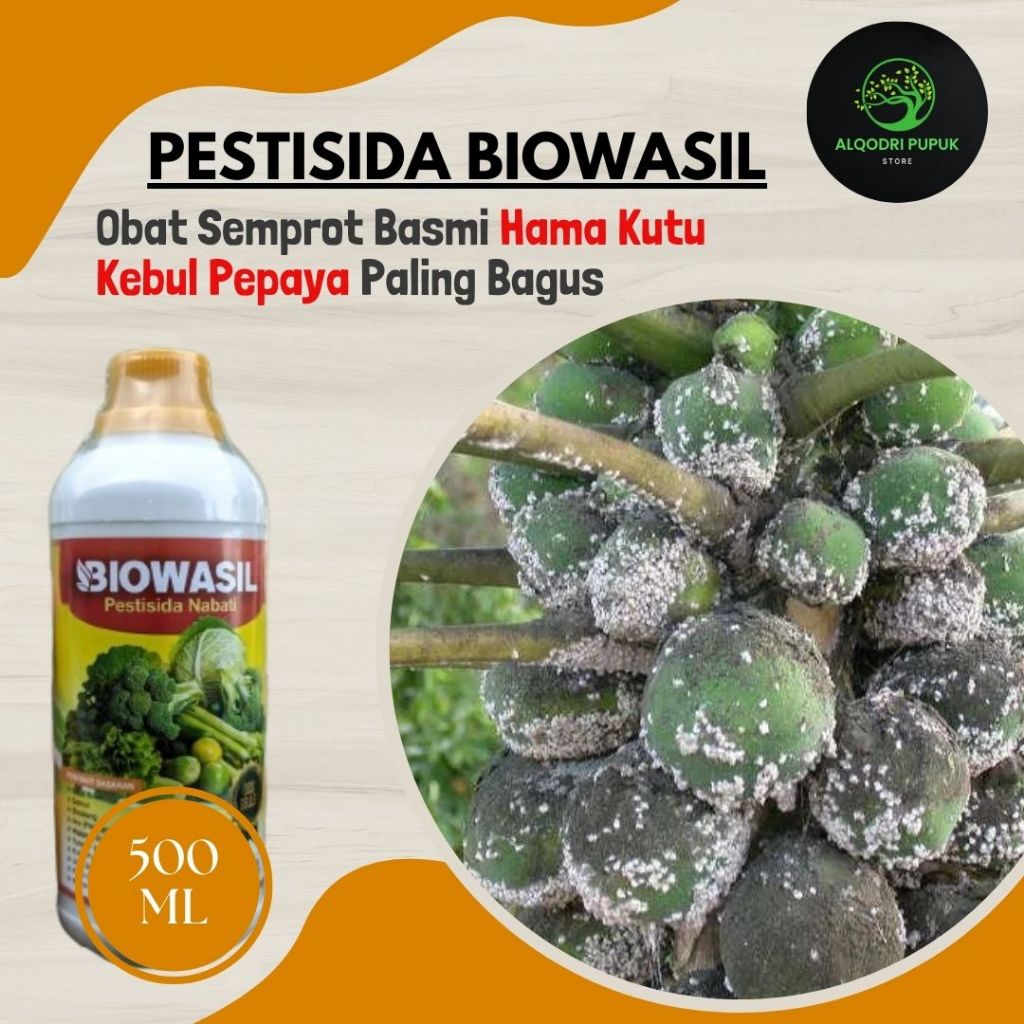 Obat Pembasmi Hama Kutu Putih/kebul Pepaya Paling Ampuh - BIOWASIL 500ML - Pestisida Pembasmi Kutu K