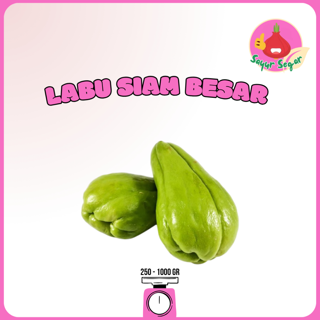 

Sayur Segar - Labu Siam Besar Segar/Chayote