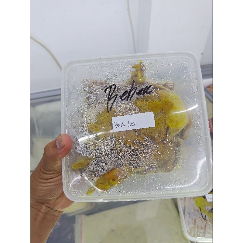 

BEBEK LAOS BOX