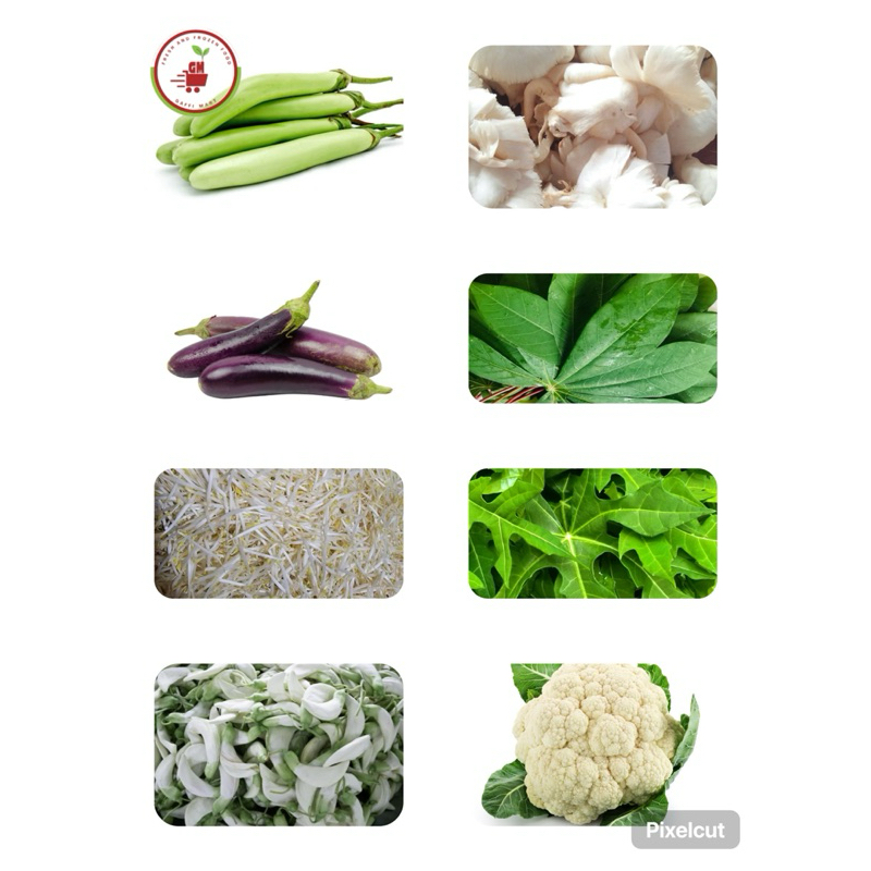 

SAYURAN SEGAR & FRESH SERBA 5000