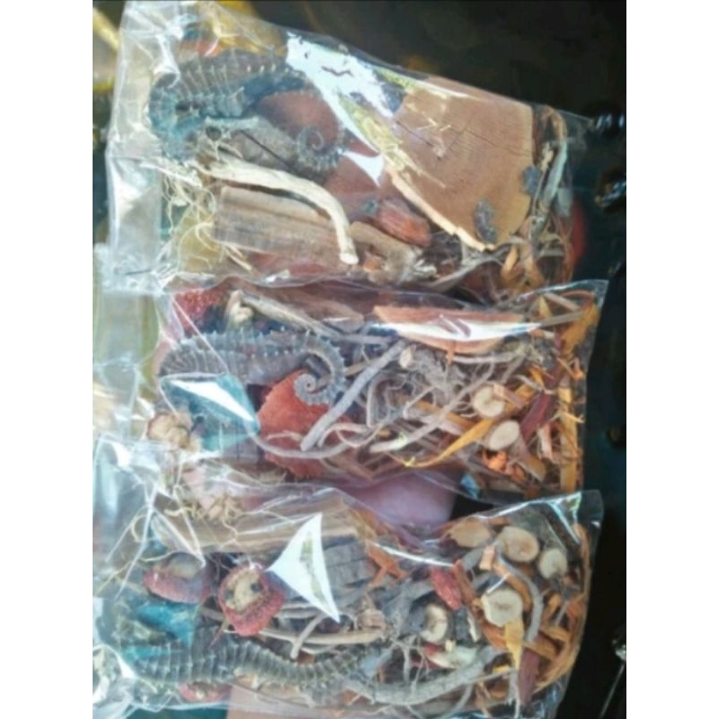 

Ramuan kuda laut kualitas terbaik