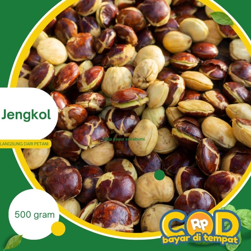 

jengkol 500gr super