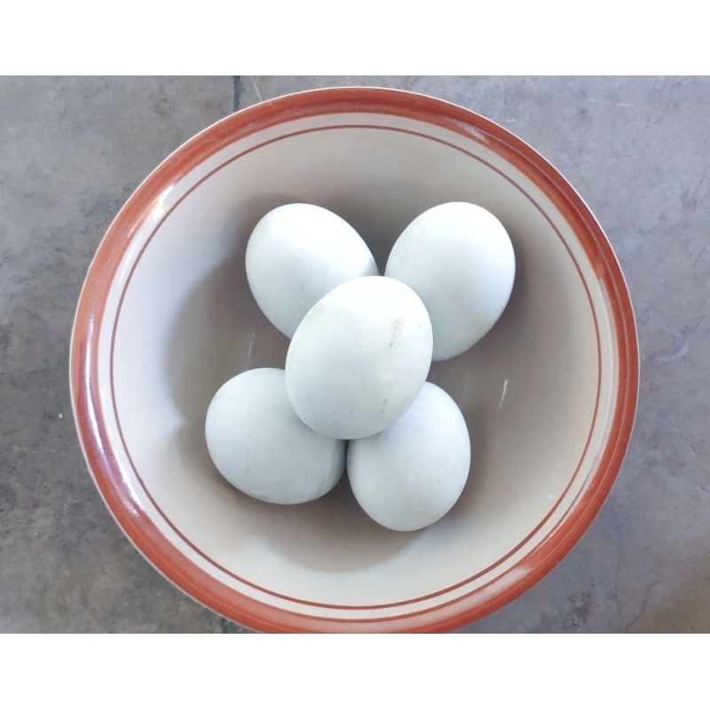 

Telur asin bebek