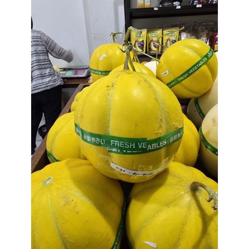

melon devina