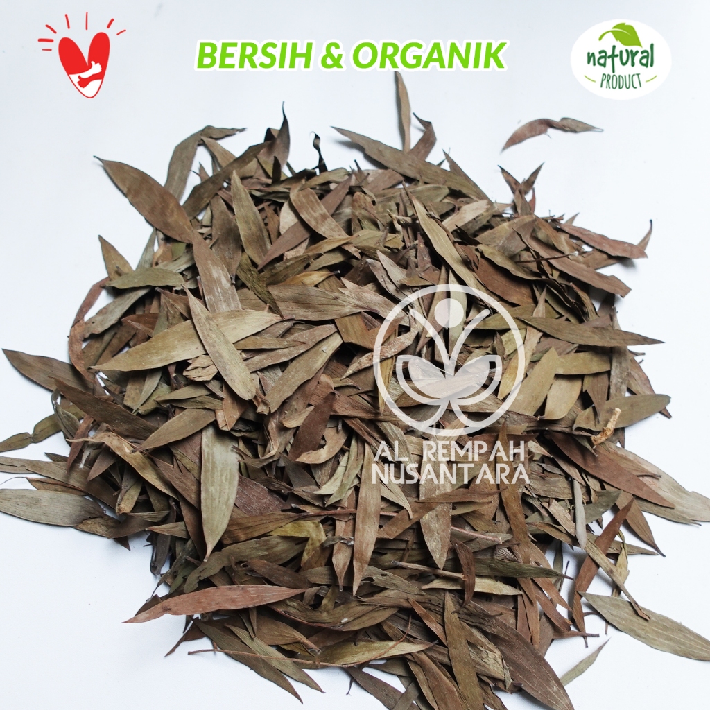 

Daun Kayu Putih 100gr Kering Asli dan Murah