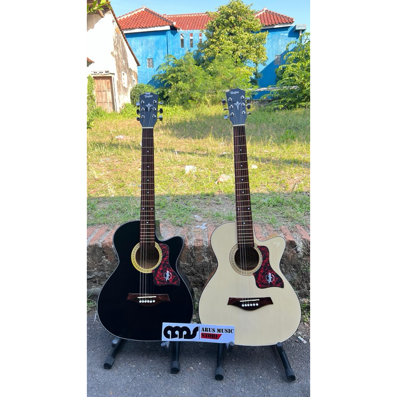 Gitar Pemula Tanam besi