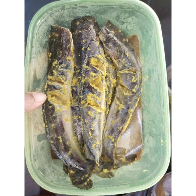 

sayur fresh marinasi ikan