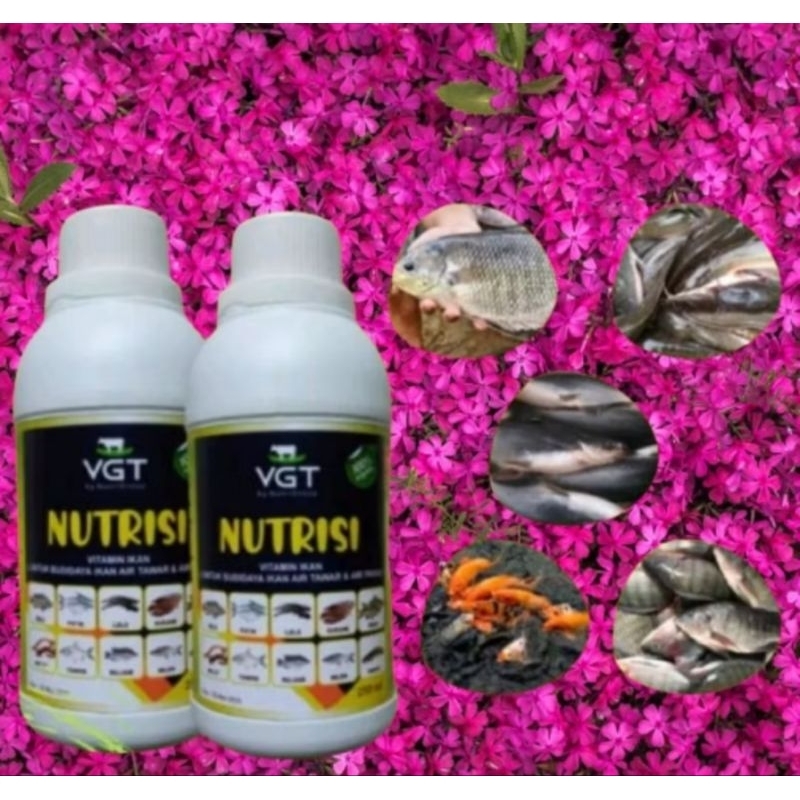 VGT nutrisi IKAN