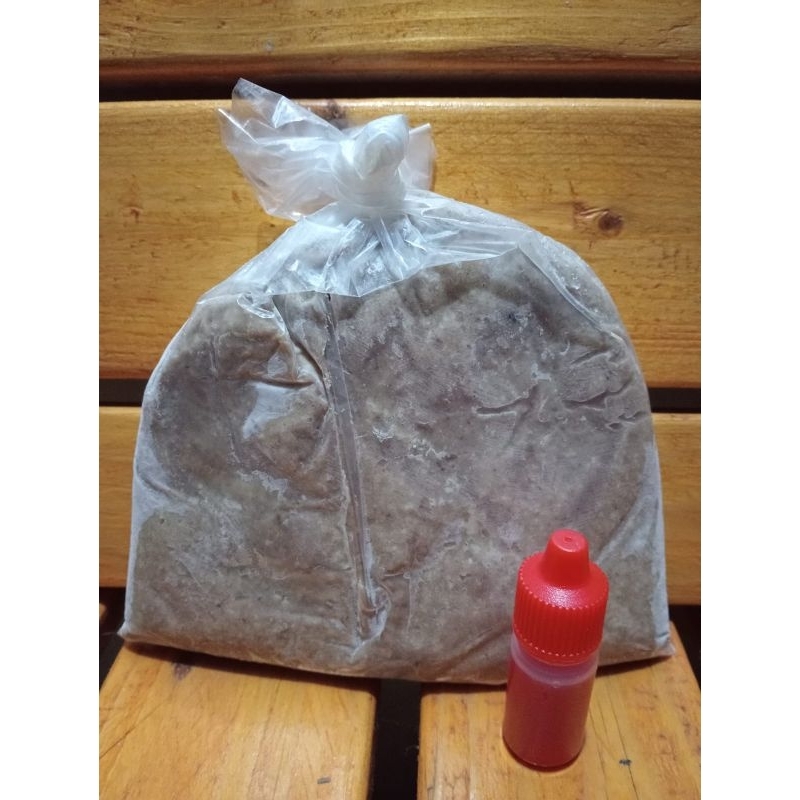 umpan paket mancing GT lele siap pakai media pala ayam rasakan ngacirnya /pala ayam plus essen