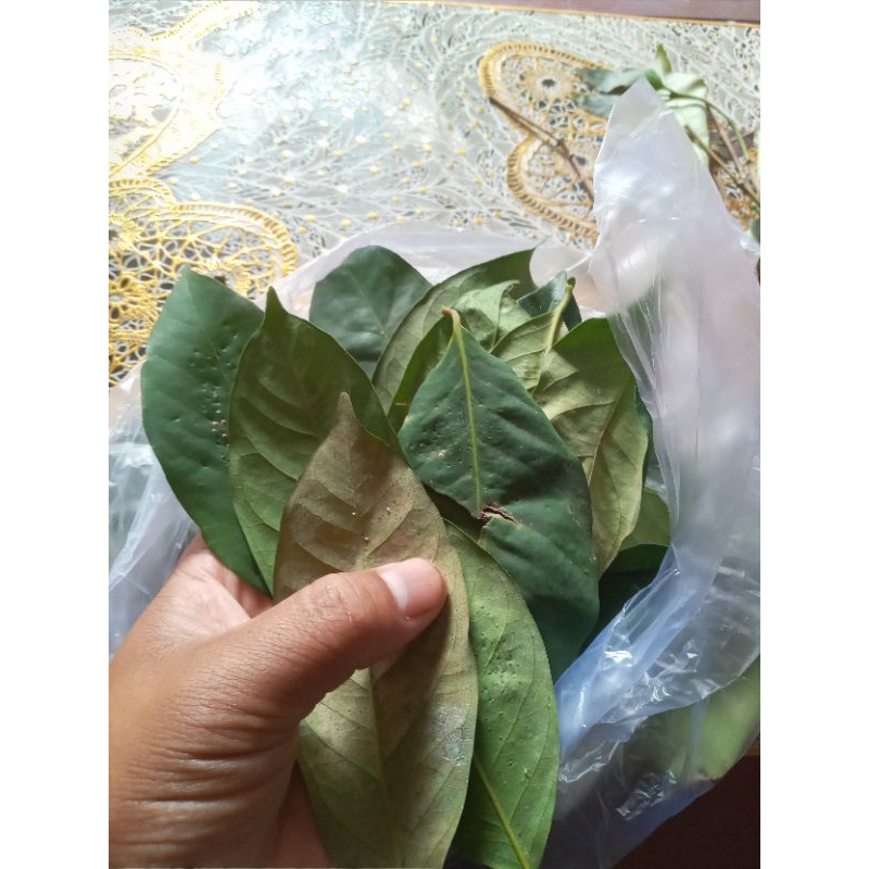 

daun salam