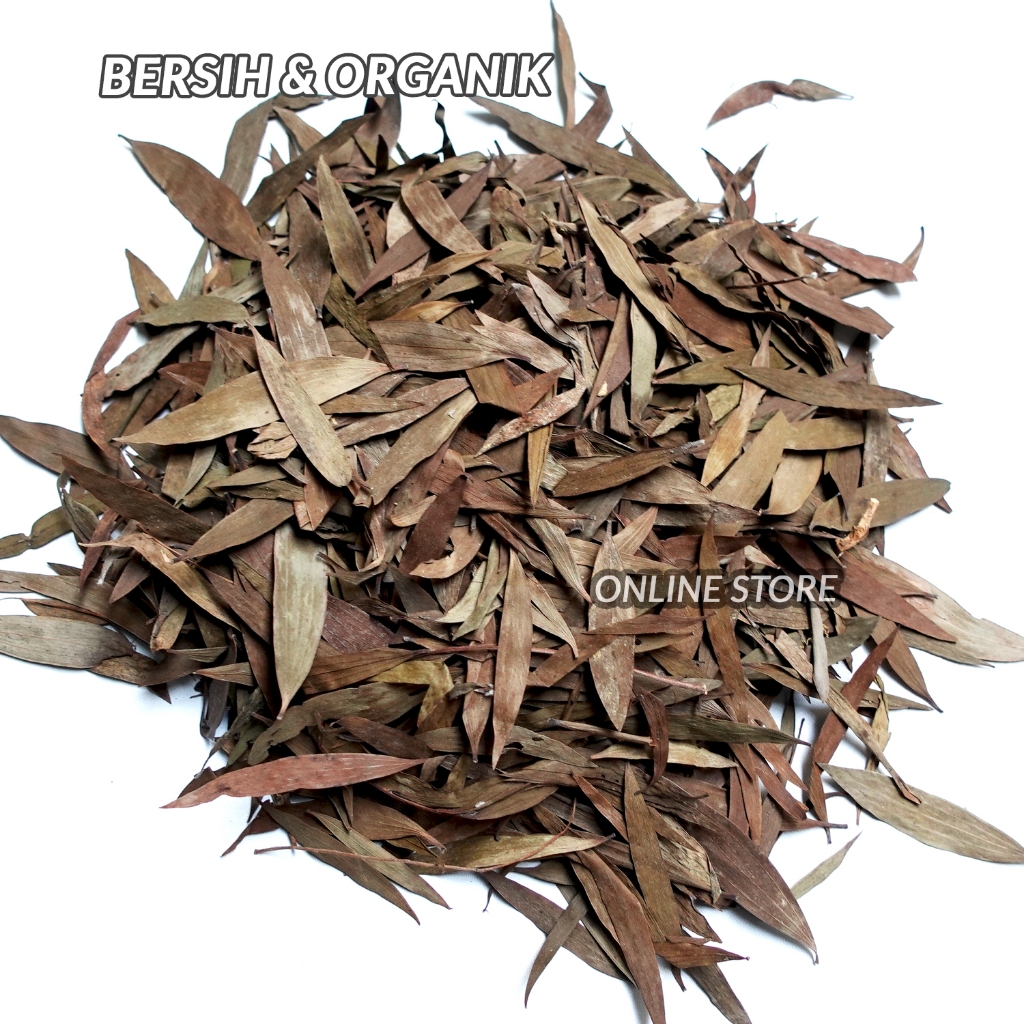 

Daun Kayu Putih Kering 500gr Daun Gelam Bersih